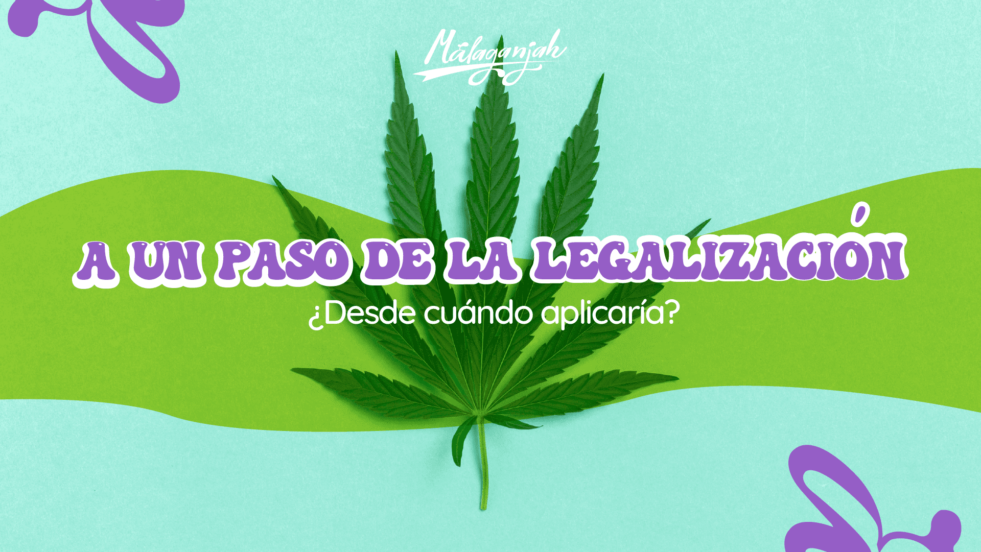 A un paso de la legalización ¿Desde cuándo aplicaría