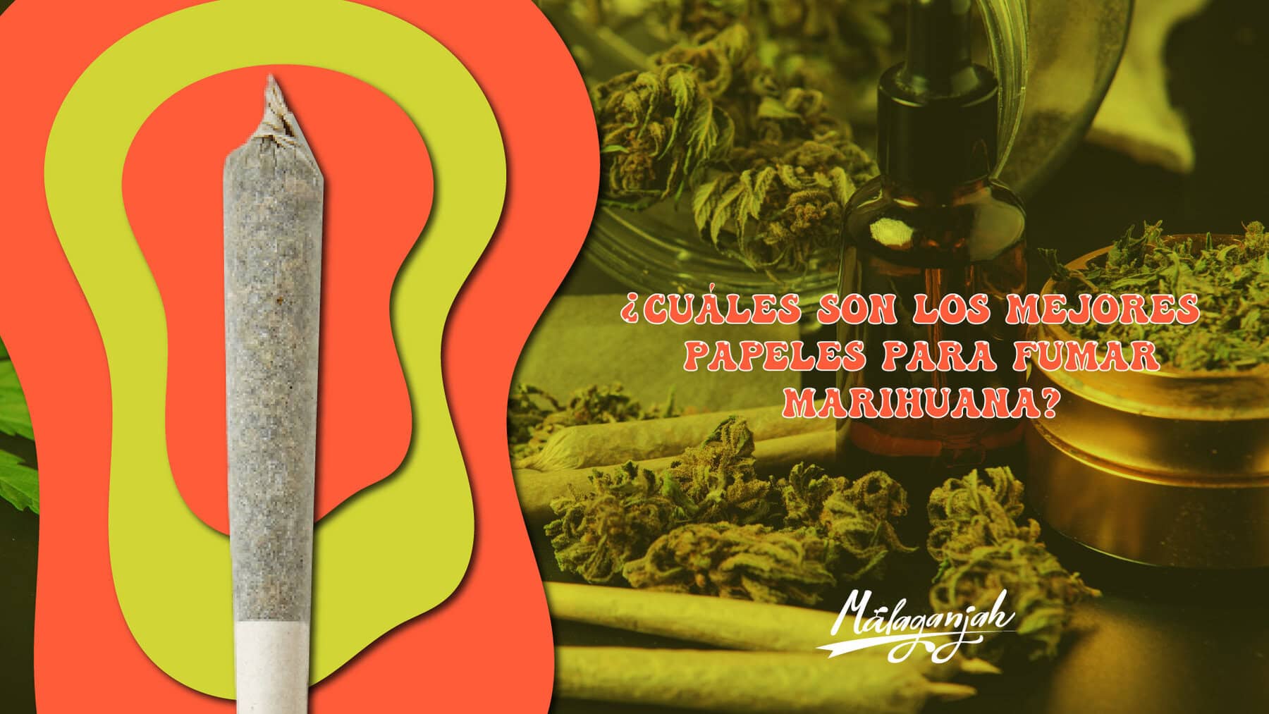 Estos son los papeles más populares para fumar marihuana