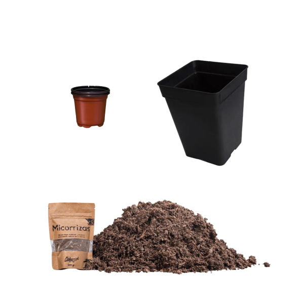 Kit Cultivo Básico Málaganjah Autocultivo Cannabis Plantas Marihuana