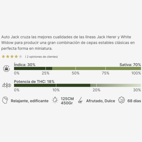 Auto Jack Málaganjah Semillas Colombia