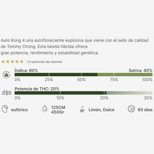 Auto Kong 4 Málaganjah Semillas Colombia