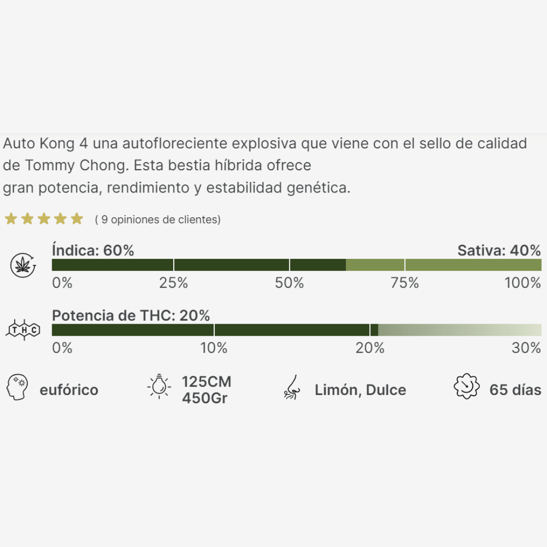 Auto Kong 4 Málaganjah Semillas Colombia