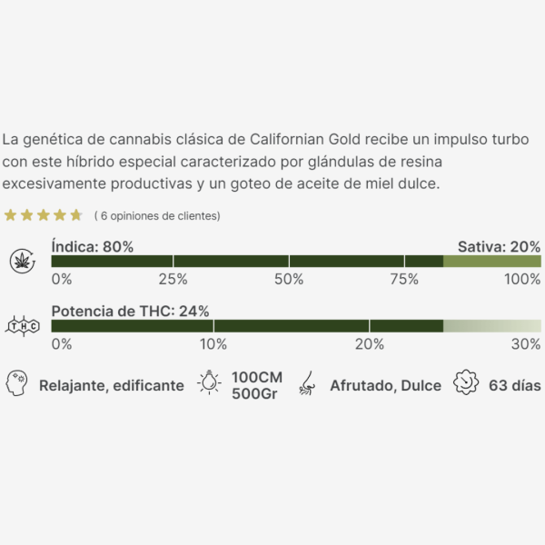 Californian Gold Málaganjah Colombia Cultivo