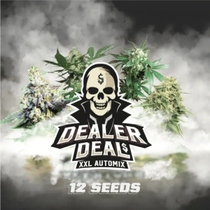 Dealer Deal Automix Colombia Málaganjah