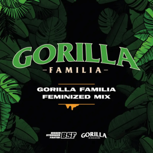 Gorilla Familia Málaganjah Colombia