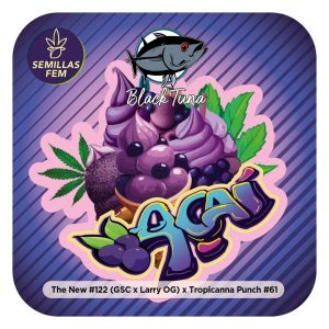 Acai- Black Tuna Málaganjah (1)