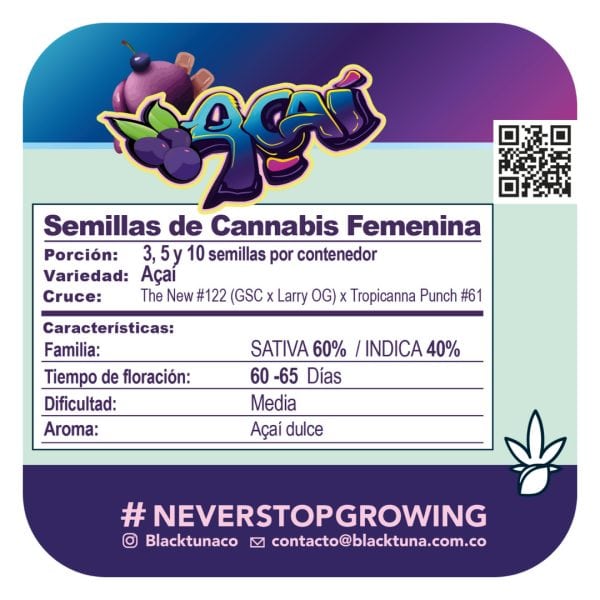 Acai- Black Tuna Málaganjah (2)