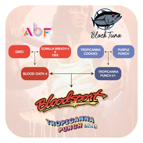 BloodSport - Black Tuna Málaganjah (3)