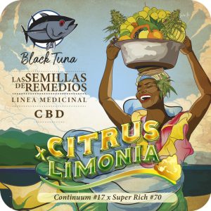 Citrus x Limonia - Black Tuna Málaganjah (1)