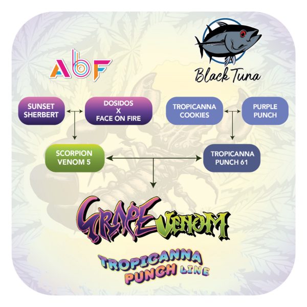 Grape Venom - Black Tuna Málaganjah (3)