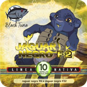 Jaguar Negro F2 - Black Tuna Málaganjah (1)