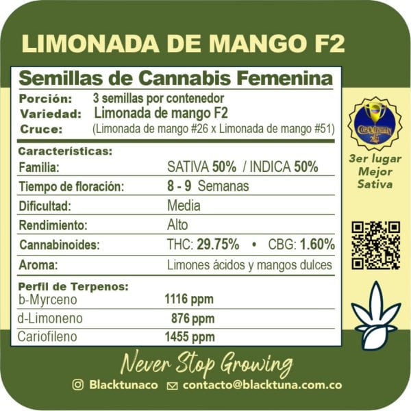 Limonada de Mango F2 - Black Tuna Málaganjah (2)