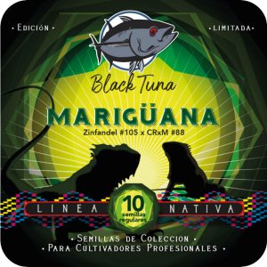 Mariguana - Black Tuna Málaganjah (1)