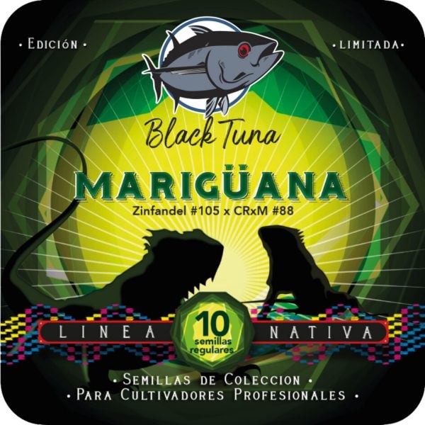 Mariguana - Black Tuna Málaganjah (1)