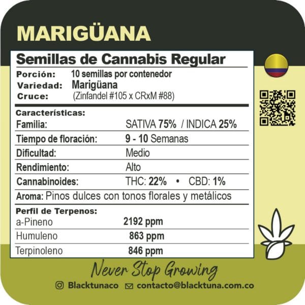 Mariguana - Black Tuna Málaganjah (2)