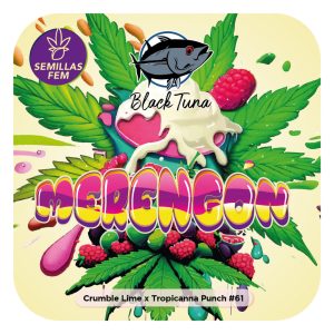 Merengon - Black Tuna Málaganjah (1)