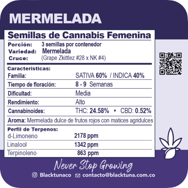 Mermelada - Black Tuna Málaganjah (2)