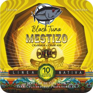 Mestizo - Black Tuna Málaganjah (1)
