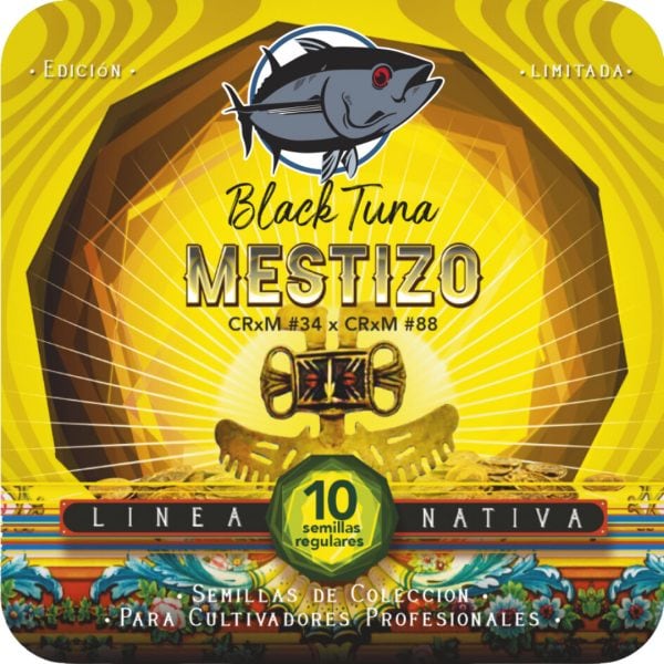 Mestizo - Black Tuna Málaganjah (1)