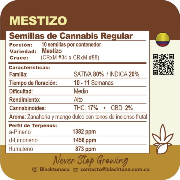 Mestizo - Black Tuna Málaganjah (2)