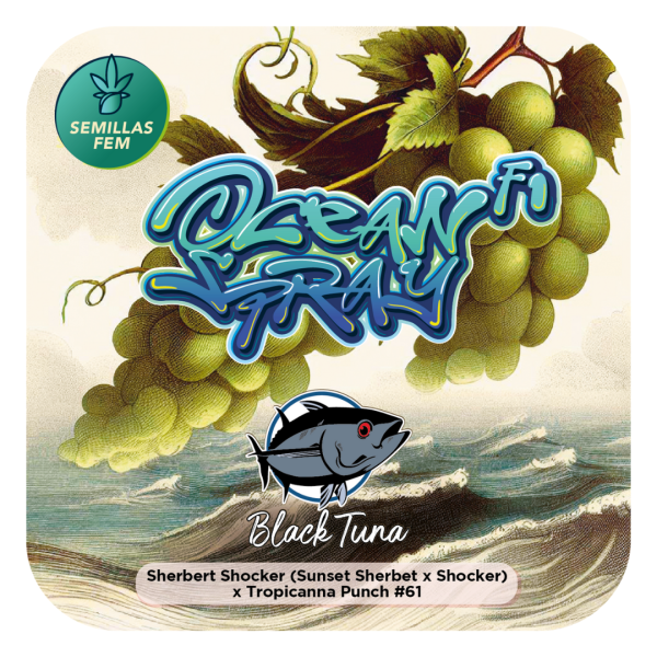 Ocean Spray F1 - Black Tuna Málaganjah (1)