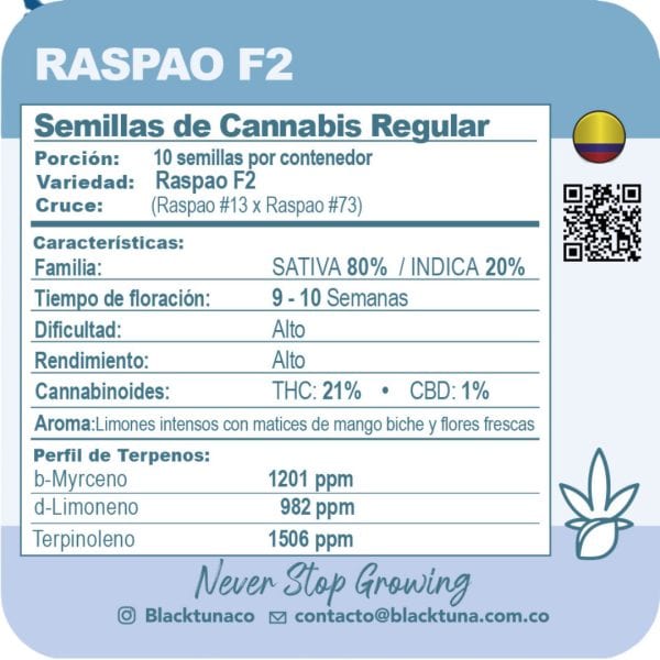Raspao F2 - Black Tuna Málaganjah (2)