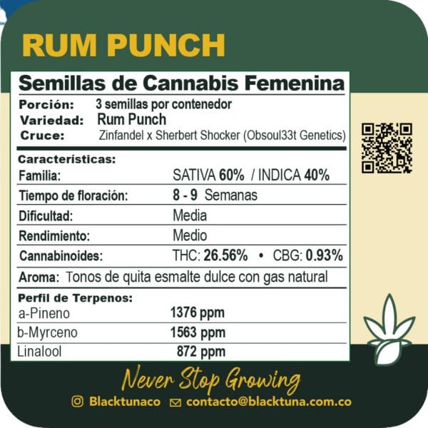 Rum Punch - Black Tuna Málaganjah (2)