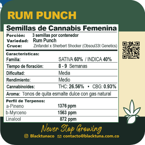 Rum Punch - Black Tuna Málaganjah (2)