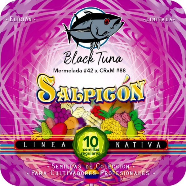 Salpicón - Black Tuna Málaganjah (1)