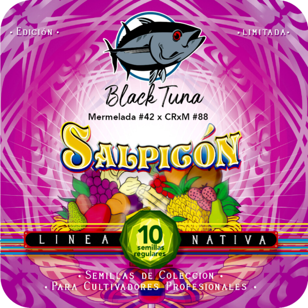 Salpicón - Black Tuna Málaganjah (1)