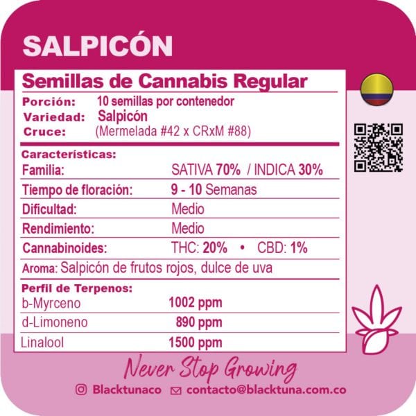 Salpicón - Black Tuna Málaganjah (2)
