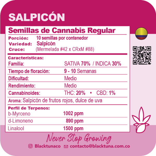 Salpicón - Black Tuna Málaganjah (2)