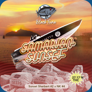 Samarian Sunset - Black Tuna Málaganjah (1)