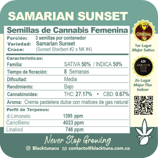 Samarian Sunset - Black Tuna Málaganjah (2)