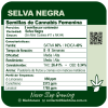 Selva Negra - Black Tuna Málaganjah (2)