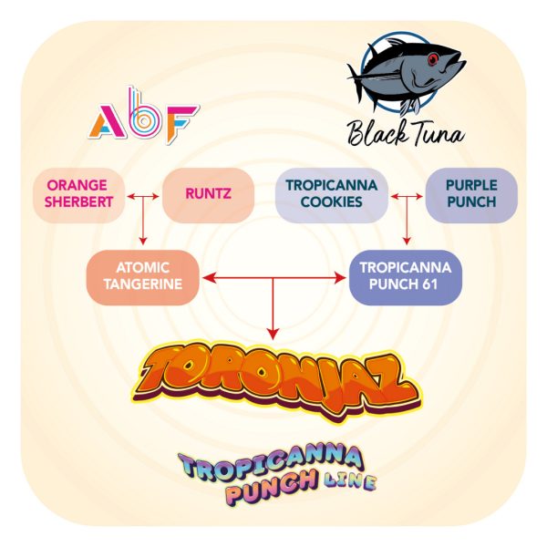 Toronjaz - Black Tuna Málaganjah (3)