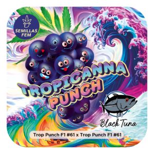 Tropicanna Punch - Black Tuna Málaganjah (1)