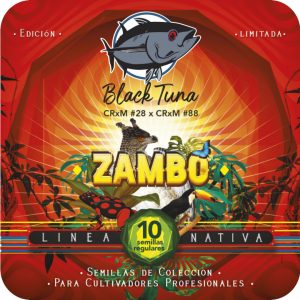 Zambo - Black Tuna Málaganjah (1)