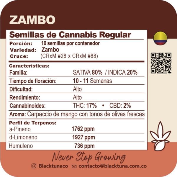 Zambo - Black Tuna Málaganjah (2)