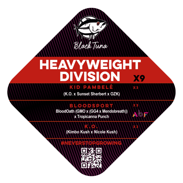 Heavyweight Division Black Tuna Málaganjah Autocultivo