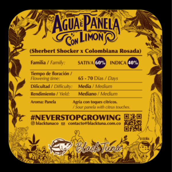 Línea Biodiversidad Málaganjah x Black Tuna Agua de Panela