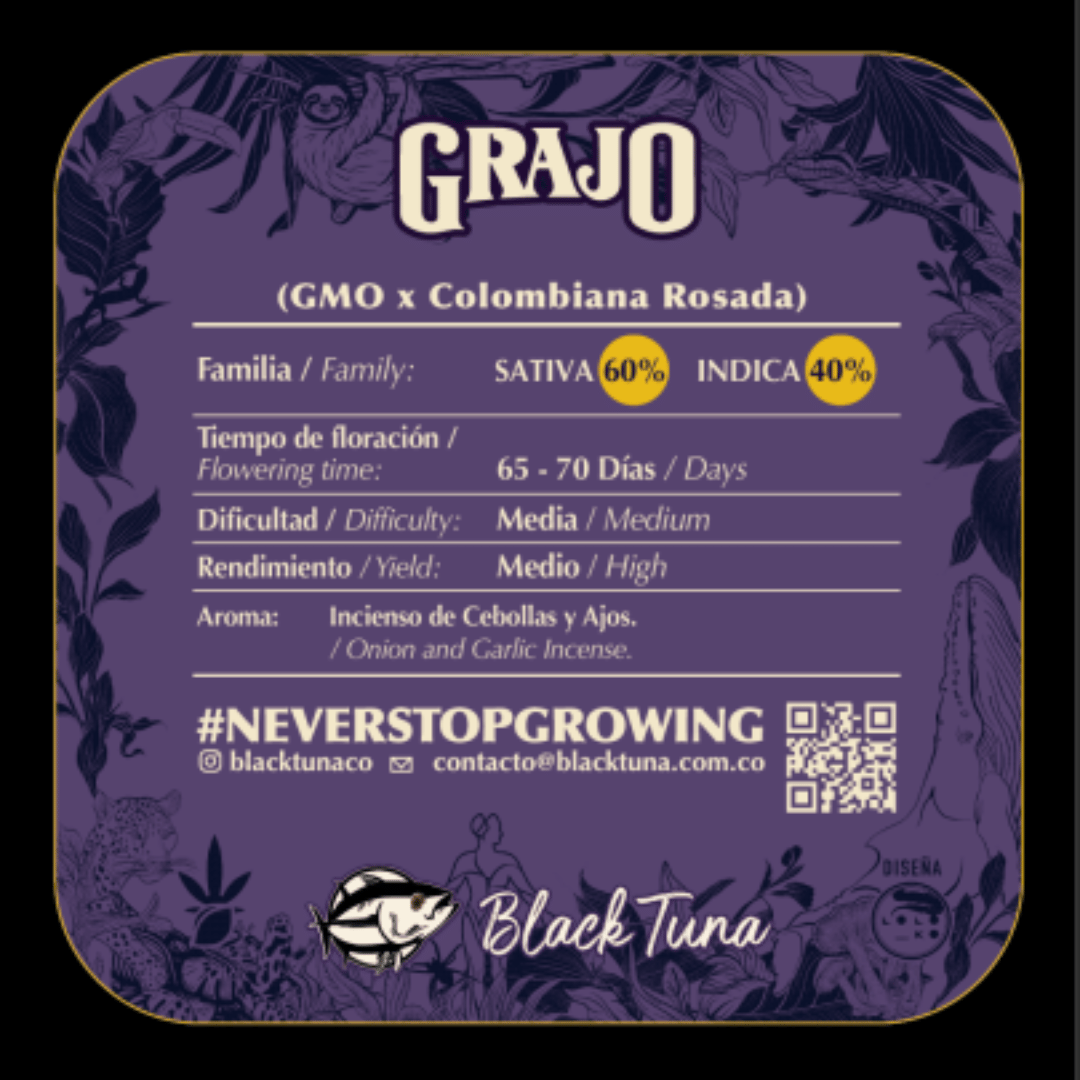 Línea Biodiversidad Málaganjah x Black Tuna Grajo Descripción