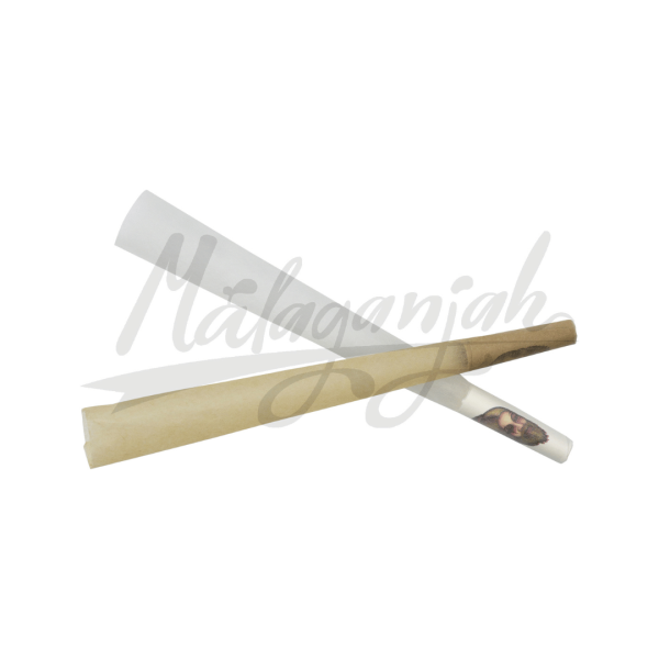 Cono individual1 14 Málaganjah Lion Rolling Circus Colombia