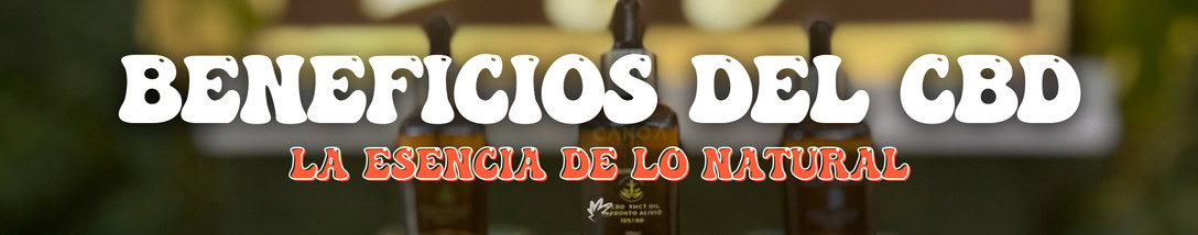 IMAGEN DESTACADA BLOG MÁLAGANJAH (15)