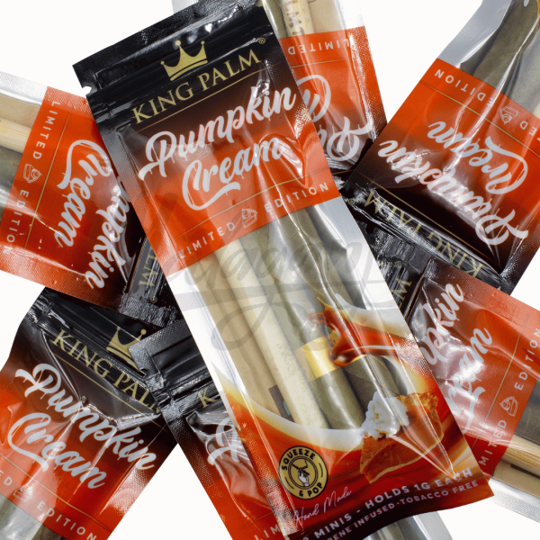 King Palm Málaganjah Pumpkin Cream Colombia