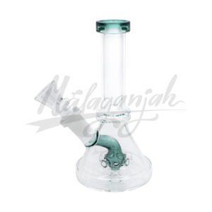 Bong Con Filtro Málaganjah Envios