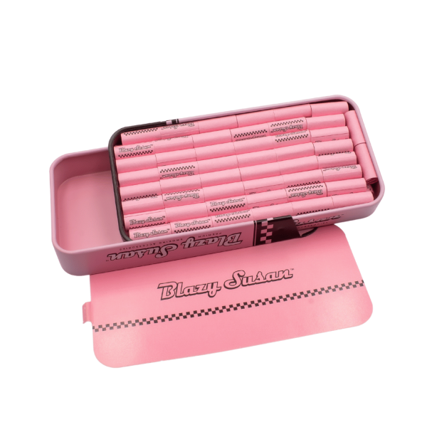 100 Filtros Blazy Susan Málaganjah Caja Rosada
