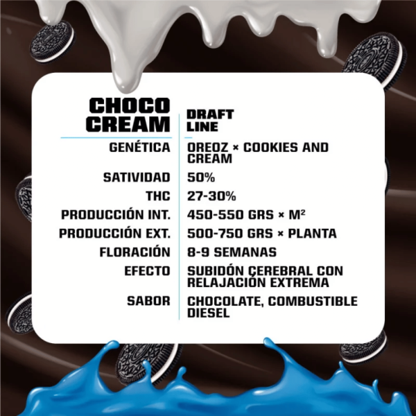 Choco Cream Feminizada BSF Málaganjah Colombia
