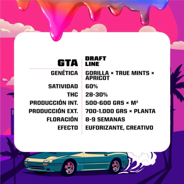 GTA feminizada BSF Málaganjah Colombia