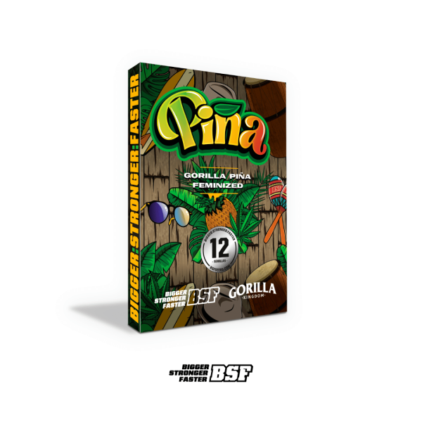 Gorilla Piña -BSF Málaganjah Colombia